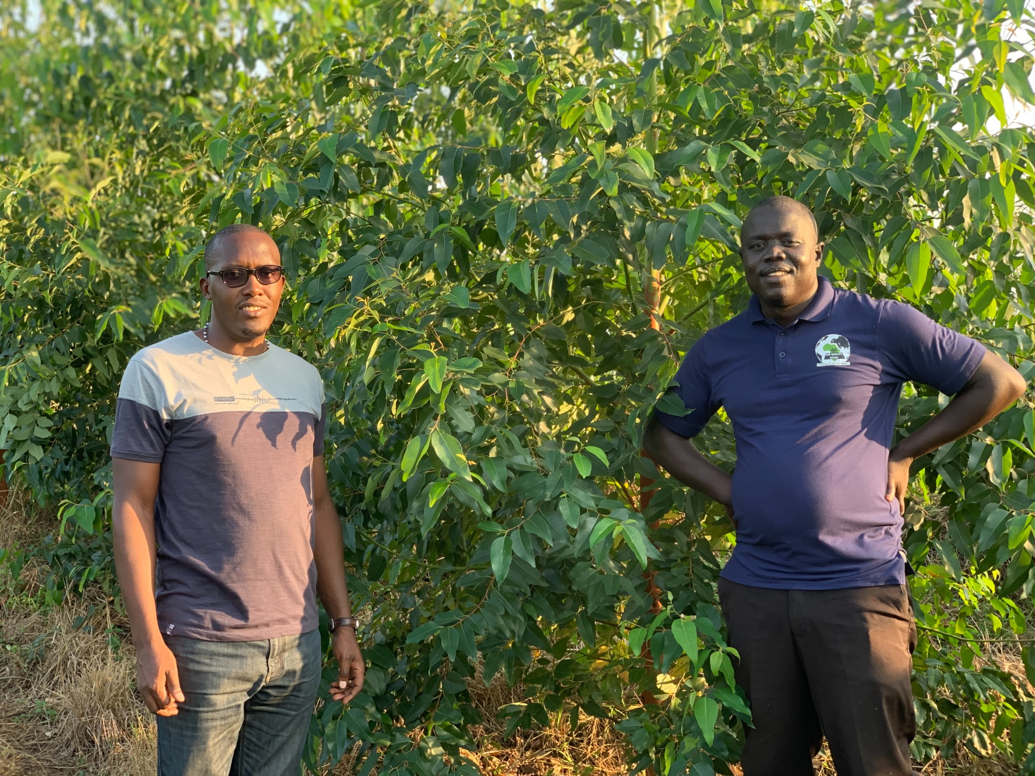 Agroforestry investment